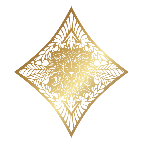 Development Company In USA